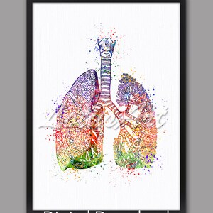 Watercolor Lungs Anatomy Print: Colorful Medical Art (Digital Download)