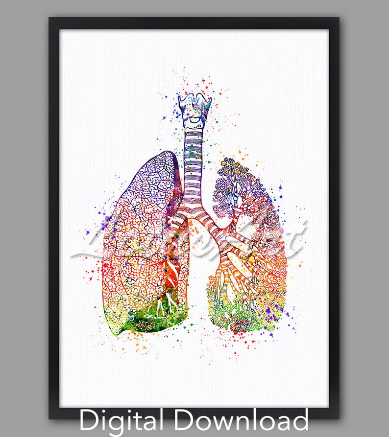 May include: A colorful watercolor illustration of human lungs. The illustration is in a black frame and has the text "Digital Download" at the bottom.