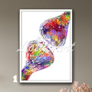 Synapse Receptor Science Art Framed Watercolor Print Anatomy Poster Brain Nerve Cell Neuroscience Neurology Medical Biology Gift Anatomical