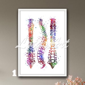 Spine Art Watercolor Framed Print Anatomy Poster Medical Prints Anatomical Wall Home Decor Chiropractor Gift Orthopedics Kinesitherapist