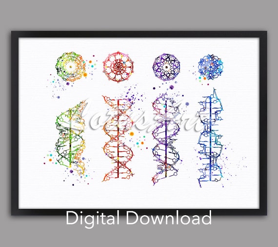 DNA Helix Watercolor Art Print: Genetic Biology Decor (digital