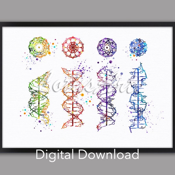 DIGITAL DOWNLOAD DNA Helix A-B-C-Z Medical Art Prints Genetic Doctor Gift Biology Poster Watercolor Print Laboratory Decor Science Art