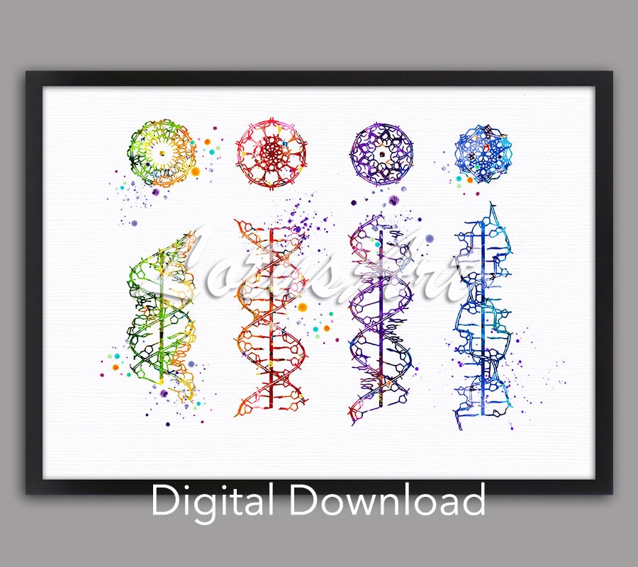 アート・デザイン・音楽 il DNA degli Amati DNA Helix Watercolor Art Print: Genetic Biology Decor (digital