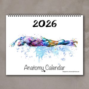 2026 Anatomy Calendar: Human Muscle Art - Medical Office Decor