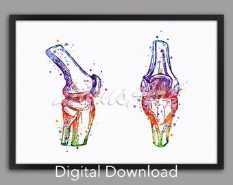 DIGITAL DOWNLOAD Knee Joint Anatomy Medical Prints Wall Art Chiropractor Gifts Watercolor Bones Painting Home Decor Anatomical Orthopedics