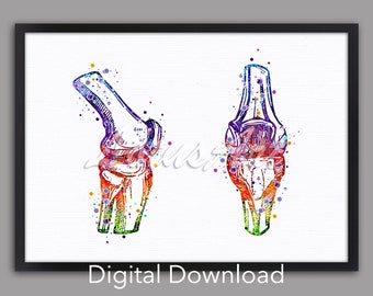 Puede incluir: Una ilustración de acuarela de una articulación de la rodilla humana, con un fondo abstracto colorido. La rodilla se muestra desde dos ángulos diferentes, con los huesos y los ligamentos visibles. La imagen es una descarga digital.