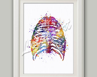 Rib Cage Print | Etsy