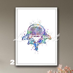 Lumbar Vertebrae Wall Art Framed Poster Anatomy Watercolor Print ...