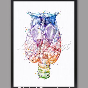 DIGITAL DOWNLOAD Thyroid Gland Anterior Anatomy Watercolor Print Poster Endocrinologist Art Medical Office Doctor Gift Science Endocrinology