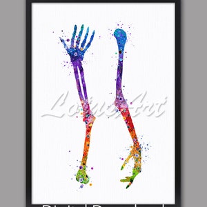 Watercolor Arm Bones Anatomy Art Print (Digital Download)