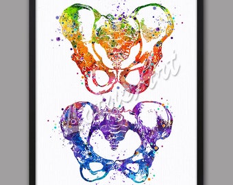 DIGITAL DOWNLOAD Pelvis Art Watercolor Print Anatomy Painting Wall Home Decor Medical Prints Anatomical Decor Chiropractor Gift Orthopedics