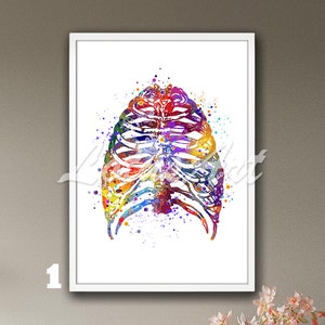 Rib Cage Art Framed Watercolor Print Anatomy Painting Medical Wall Home Decor Anatomical Decor Chiropractor Gift Orthopedics Kinesitherapist