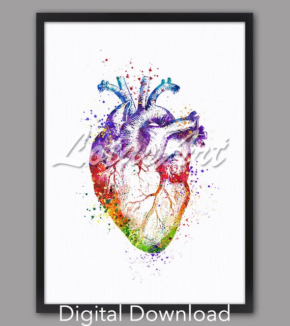 Heart Anatomy Watercolor Print: Medical Art Gift (Digital Download)