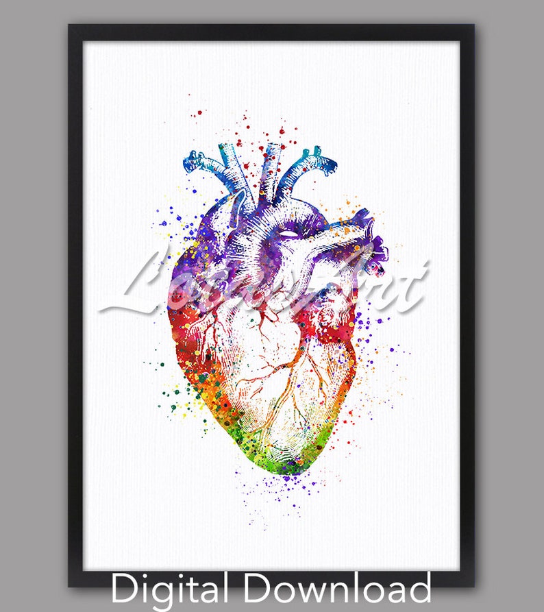 May include: A colorful watercolor painting of a human heart. The heart is depicted in anatomical detail with a vibrant rainbow of colors splashed around it. The image is titled "Digital Download".