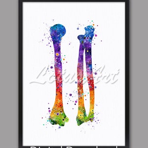 DIGITAL DOWNLOAD Arm Bones Watercolor Anatomy Art Anatomical Decor Humerus Radius Medical Chiropractor Gifts Orthopedics Kinesitherapist