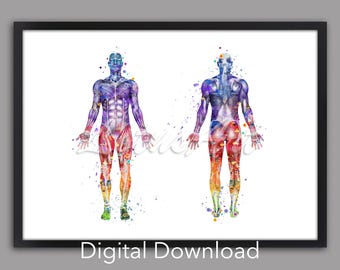 Anatomy Poster: Bones and Muscles, Watercolor Medical Art (digital ...