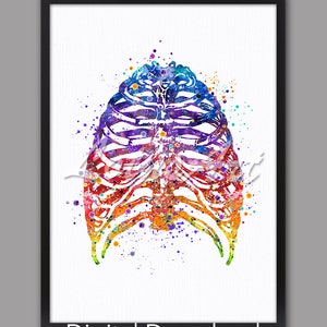デジタルダウンロード 胸郭アート 水彩画 解剖学絵画 医療用プリント 解剖学壁画 室内装飾 カイロプラクターギフト 運動療法士