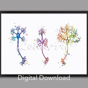 Watercolor Neuron Anatomy Art Print: Medical Neurology Decor (digital ...