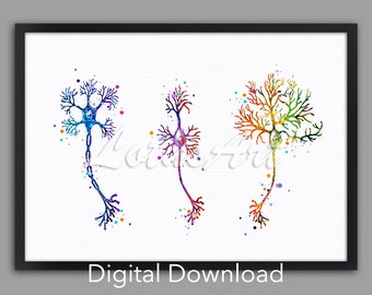 May include: A watercolour painting of three colourful neurons. The neurons are depicted in a stylised way, with their dendrites and axons extending out from the cell body. The painting is done in a vibrant palette of colours, with splashes of pink, blue, green, and yellow.