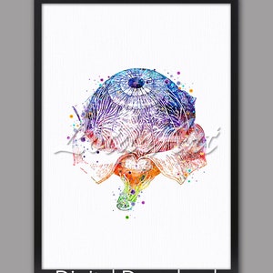 DIGITAL DOWNLOAD Eye Anatomy Art Eyeball Medical Optician Gift Science Poster Optometry Ophthalmology Decor Optometrist Doctor Office Poster