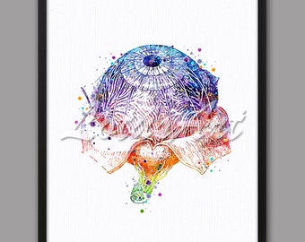 DIGITAL DOWNLOAD Eye Anatomy Art Eyeball Medical Optician Gift Science Poster Optometry Ophthalmology Decor Optometrist Doctor Office Poster