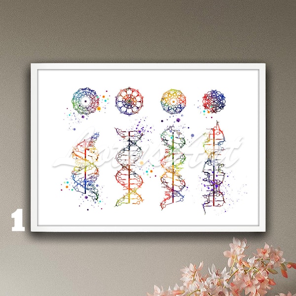 DNA Helix A-B-C-Z Medizinische Wandkunst Gerahmte Drucke Genetischer Doktor Geschenke Biologie Poster DNA Aquarell Arzt Labor Dekor Wissenschaftskunst