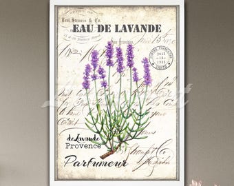 Lavender Flowers Vintage Style Decor: French Rustic Wall Art, Botanical Herb Print