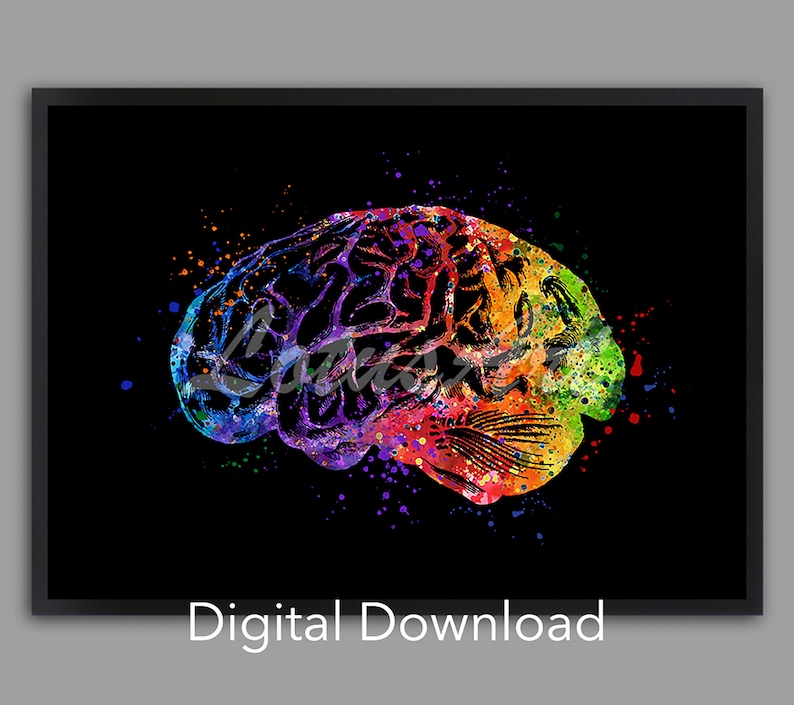Watercolor Brain Anatomy Art Print: Neurology Gift (digital Download ...