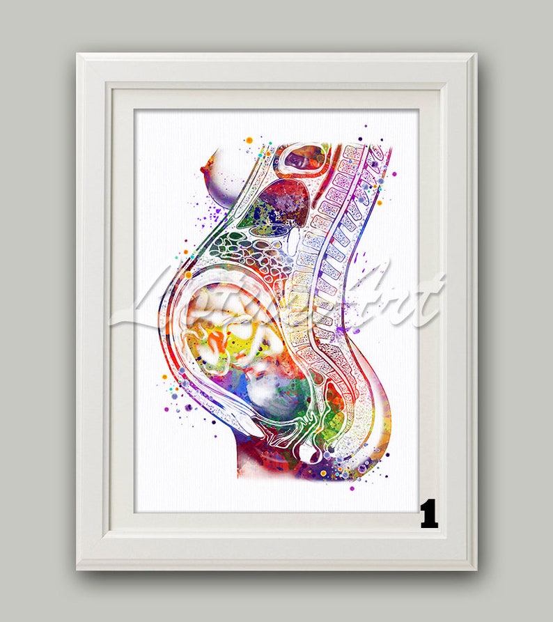 Pregnancy Wall Art Watercolor Print Expect Baby Pregnant Fetus Etsy UK