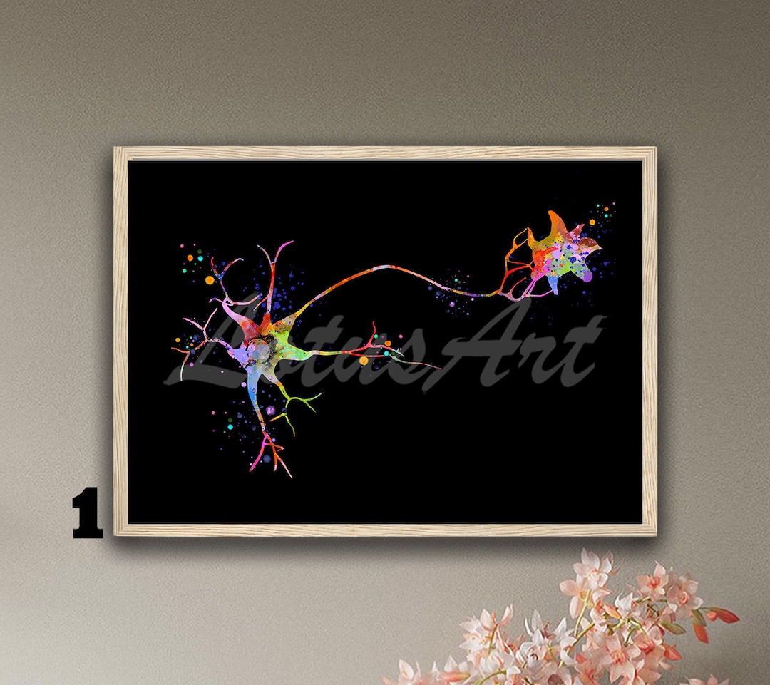 Multipolar Neuron Cell Anatomy Framed Art Brain Neurology Medical ...