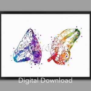 DIGITAL DOWNLOAD Adrenal Gland Anatomy Wall Art Watercolor Print Endocrinologist Gift Kidney Poster Medical Office Doctor Internal Organs