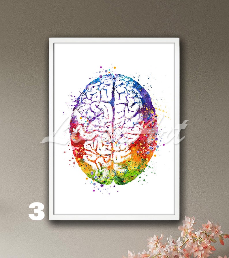 Brain Anatomy Watercolor Art Print: Medical Neurology Decor - Etsy