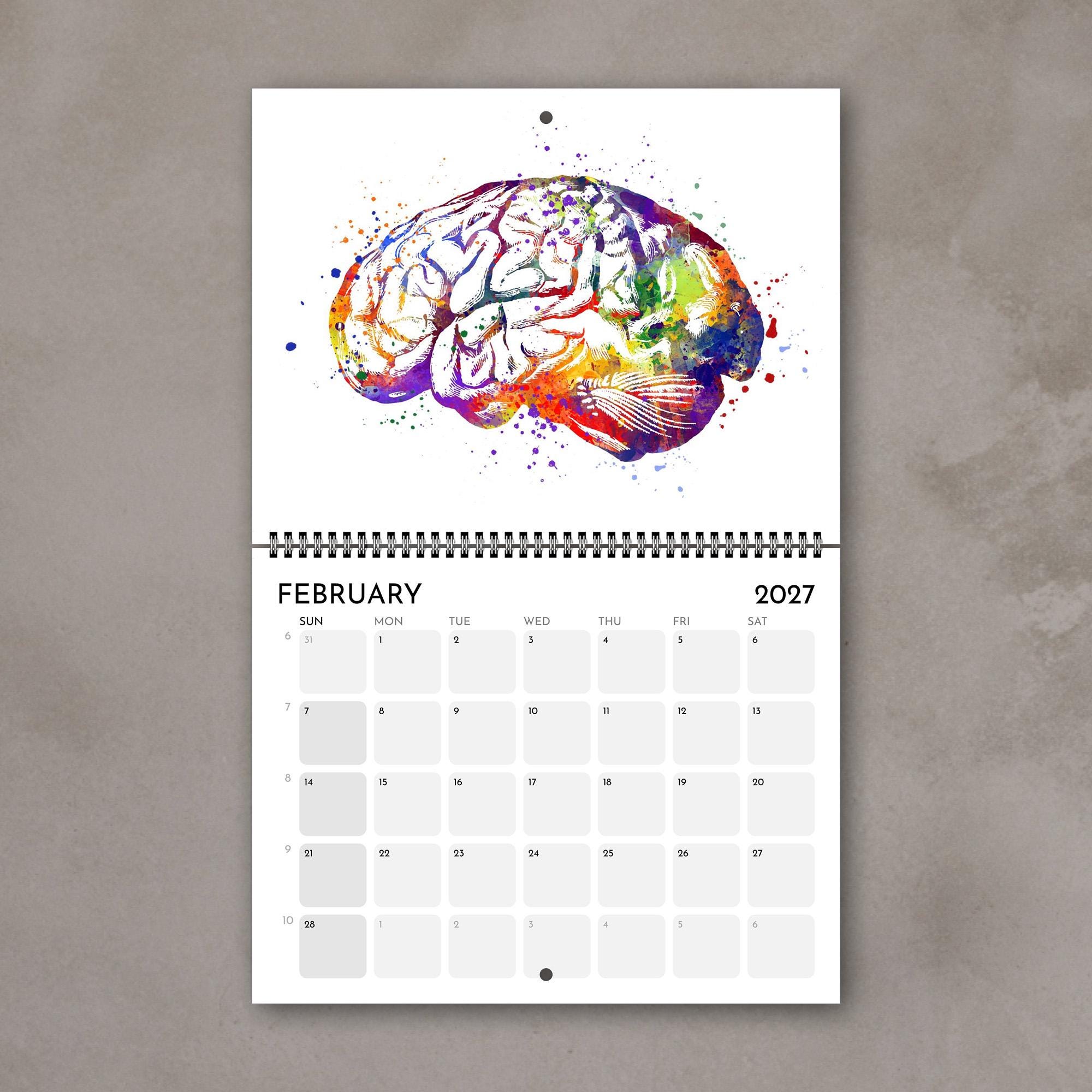 2027 Anatomy Wall Calendar: Medical Watercolor Art, Doctor Gift