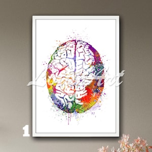 Brain Anatomy Art Watercolor Print Medical Science Neurology Doctor ...