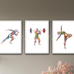 Set of 3 Muscles Anatomy Framed Wall Art Sports Prints Runner Weightlifter Gymnastics Posters