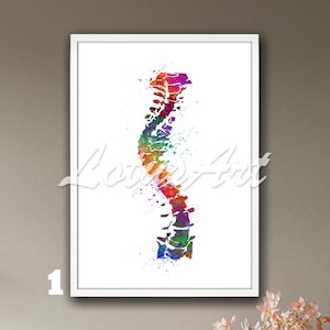 Scoliose wervelkolom muur decor ingelijste print anatomie kunst poster medische orthopedie kinesitherapeut chiropractor geschenken scoliose wervelkolom anatomisch