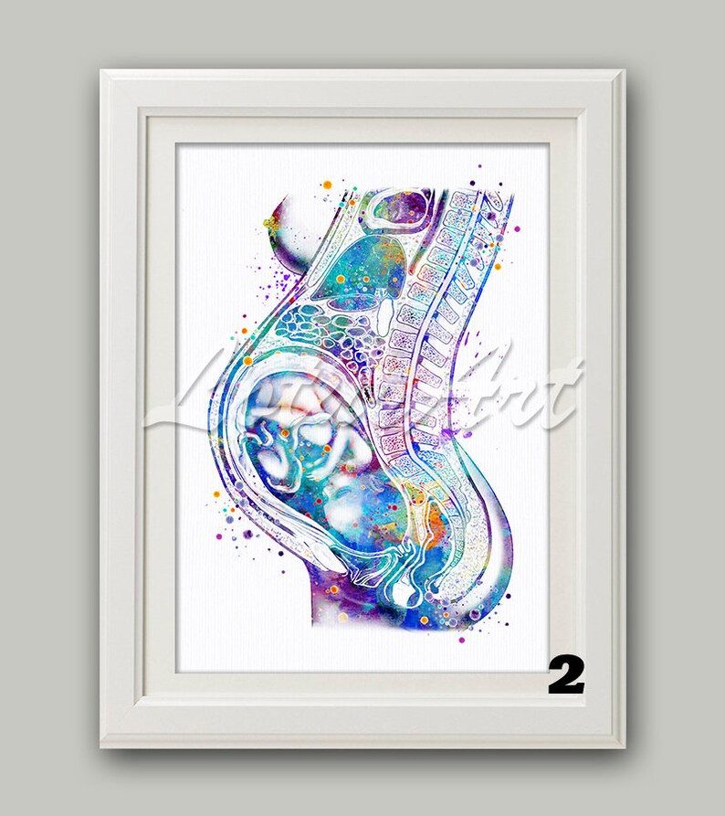 Pregnancy Wall Art Watercolor Print Expect Baby Pregnant Fetus Etsy