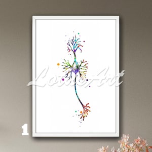Impression d'art encadrée de cellules neuronales pyramidales : décoration de neurologie médicale