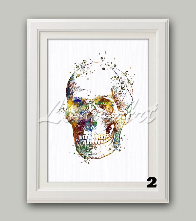 Skull Anatomy Art Skull Decor Science Watercolor Print Medical Etsy
