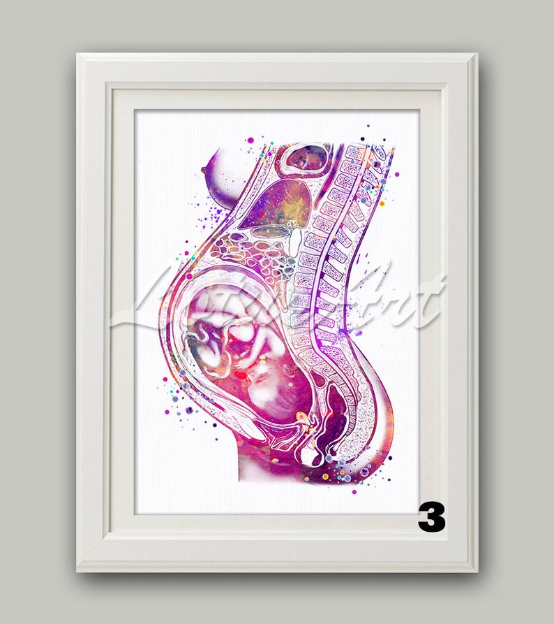 Pregnancy Wall Art Watercolor Print Expect Baby Pregnant Fetus Etsy
