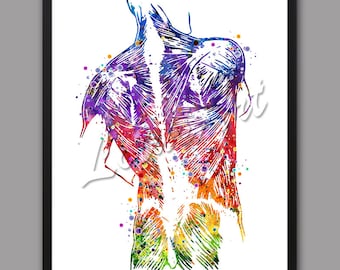 Puede incluir: Una pintura de acuarela de los músculos de la espalda humana, con un fondo abstracto colorido. Los músculos se representan en detalle, con un enfoque en la columna vertebral y las áreas circundantes. La pintura es una representación vibrante y colorida del cuerpo humano.