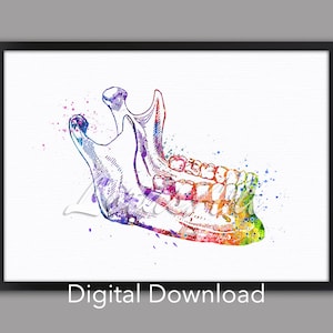 DIGITAL DOWNLOAD Lower Jaw with Teeth Art Anatomy Print Watercolor Dentist Gift Human Bones Anatomical Medical Home Decor Dental Clinic Gift