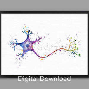 May include: A watercolour painting of a neuron, a nerve cell, with a long axon and dendrites. The neuron is depicted in shades of purple, blue, green, and yellow.