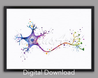DIGITAL DOWNLOAD Neuron Art Brain Cell Anatomy Poster Watercolor Print Neurology Medical Science Art Anatomical Neural Network Neurologist