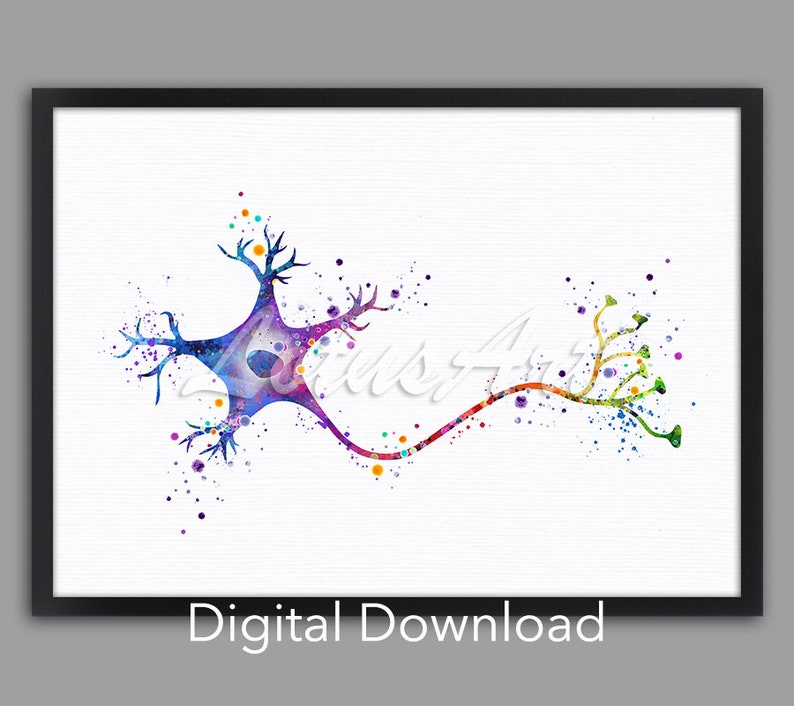 Neuron Watercolor Print: Brain Cell Anatomy Art (digital Download) - Etsy