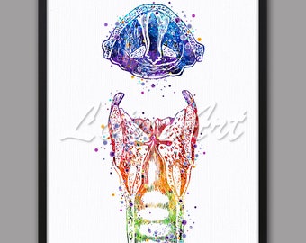 DIGITAL DOWNLOAD Larynx and Vocal Cords Anatomy Watercolor Art ENT Doctor Office Audiologist Gift Voice Box Speech Language Pathologist