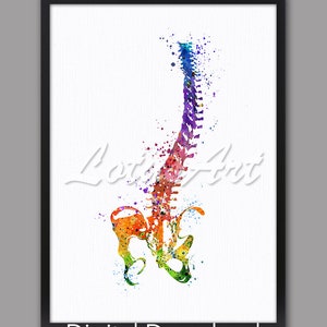DIGITAL DOWNLOAD Scoliosis Spine with a Pelvis Art Watercolor Print Medical Canvas Anatomical Decor Orthopedics Poster Kinesitherapist Gifts