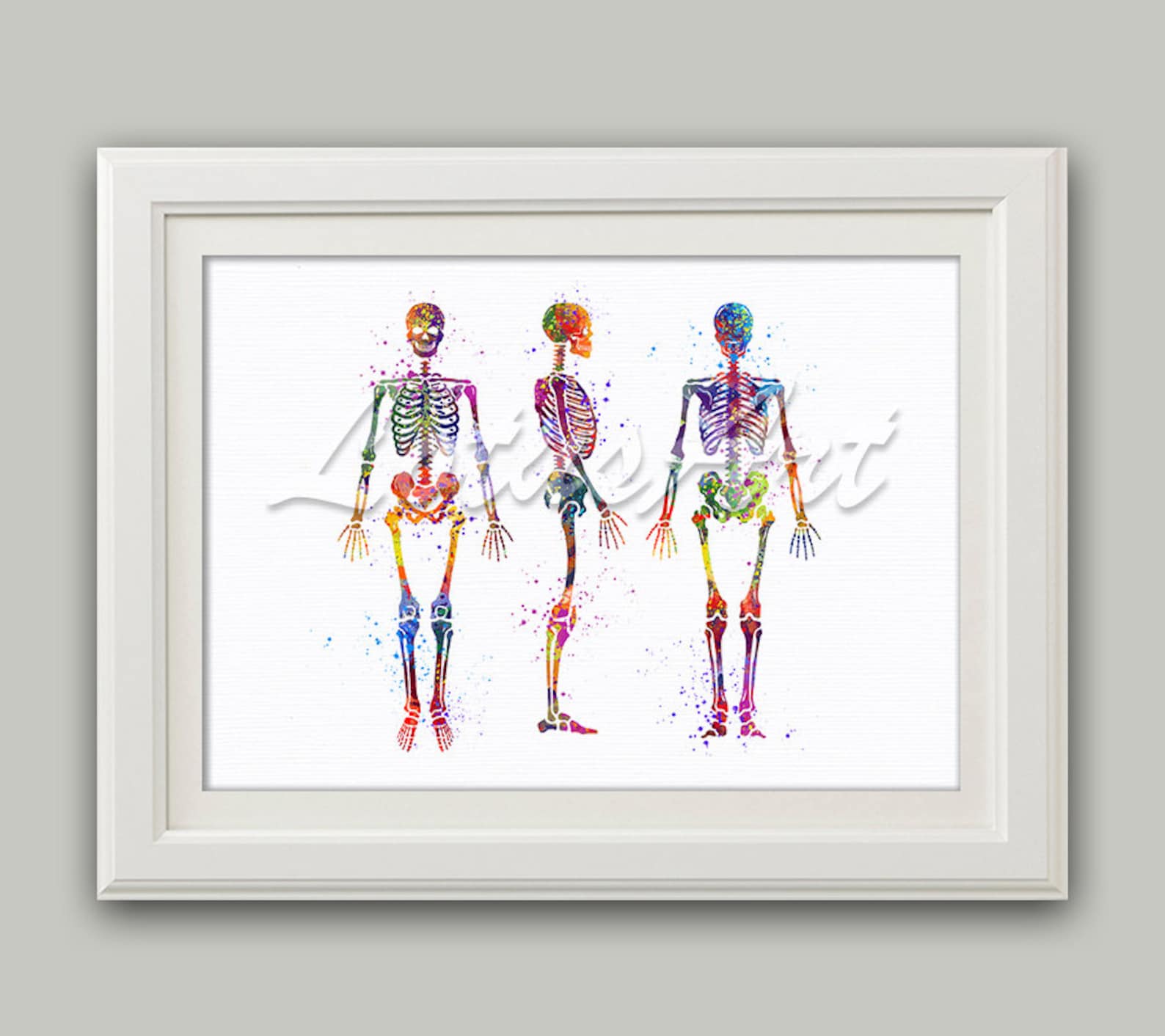 Human Skeleton Art 2 Medical Anatomy Watercolor Print Science Etsy