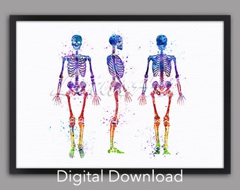 Watercolor Human Skeleton Anatomy Art Print: Medical Poster (Digital Download)