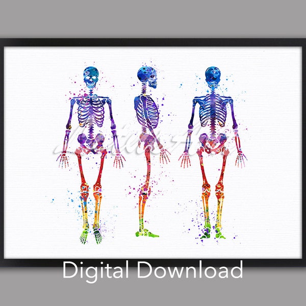 DIGITAL DOWNLOAD Human Skeleton Art Anatomy Medical Watercolor Print Doctor Office Decor Anatomical Poster Orthopedics Anniversary Gifts